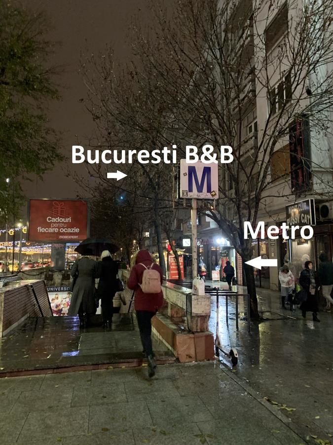 Отели типа «постель и завтрак» Bucarest B&B Бухарест